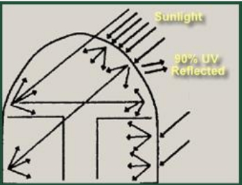 Simply Solar Greenhouse - Sunlight - 90% UV Reflected