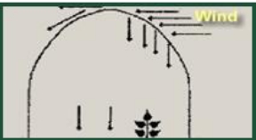 Simply Solar Greenhouse - WIND GRAPHIC