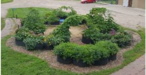 Raised Garden Beds by Simply Solar Greenhouses