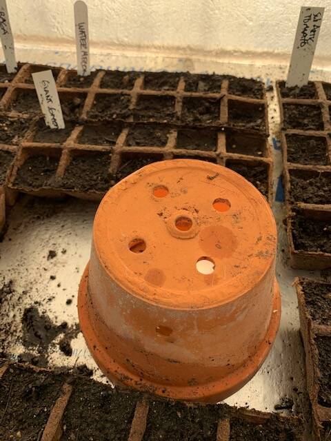 Very Cold Temperatures in the Greenhouse
